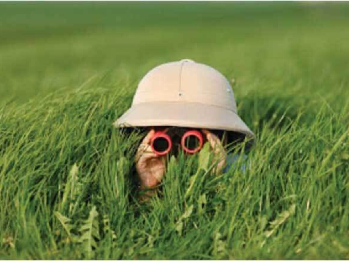 A person in a pith helmet peering through red binoculars out of grass grown up to their eyes.
