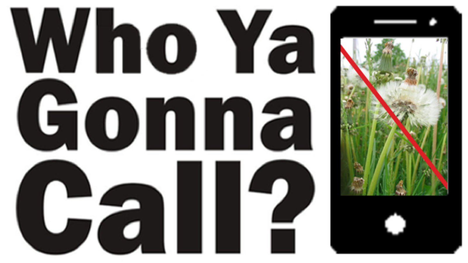 The words “Who Ya Gonna Call?” beside a phone showing a dandelion struck through in red.